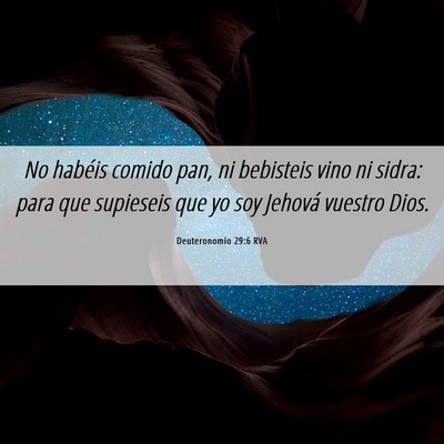 Picture 06 - Deuteronomio 29:6 RVA - No habéis comido pan, ni bebisteis vino ni - Bible Verse Picture