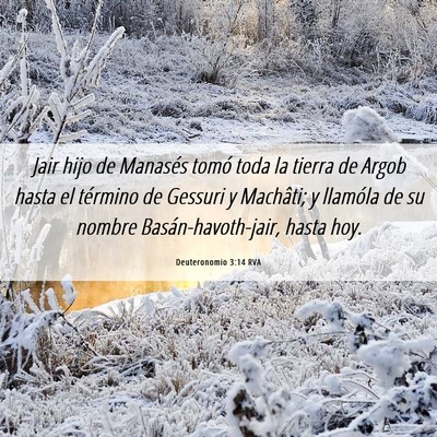 Picture 06 - Deuteronomio 3:14 RVA - Jair hijo de Manasés tomó toda la tierra de - Bible Verse Picture