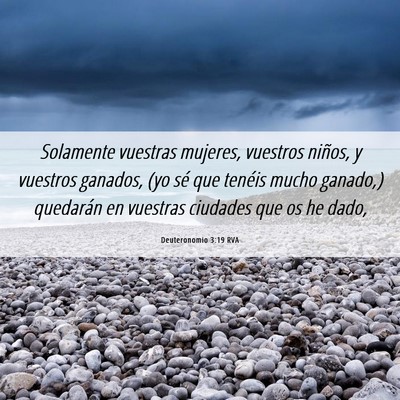 Picture 06 - Deuteronomio 3:19 RVA - Solamente vuestras mujeres, vuestros niños, y - Bible Verse Picture