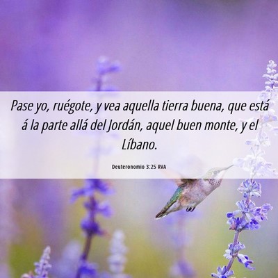 Picture 06 - Deuteronomio 3:25 RVA - Pase yo, ruégote, y vea aquella tierra buena, - Bible Verse Picture