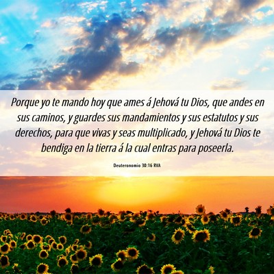Picture 06 - Deuteronomio 30:16 RVA - Porque yo te mando hoy que ames á Jehová tu - Bible Verse Picture