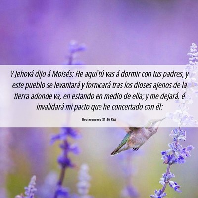 Picture 06 - Deuteronomio 31:16 RVA - Y Jehová dijo á Moisés: He aquí tú vas á - Bible Verse Picture