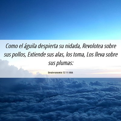 Picture 06 - Deuteronomio 32:11 RVA - Como el águila despierta su nidada, Revolotea - Bible Verse Picture