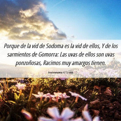 Picture 06 - Deuteronomio 32:32 RVA - Porque de la vid de Sodoma es la vid de ellos, Y - Bible Verse Picture
