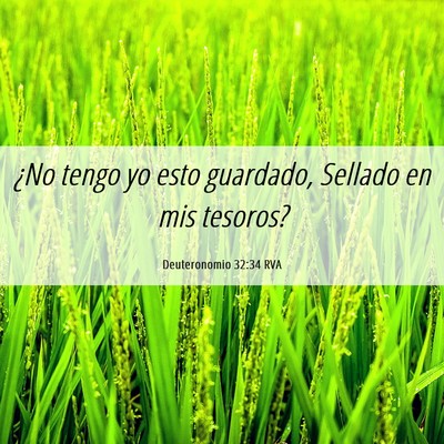 Picture 06 - Deuteronomio 32:34 RVA - ¿No tengo yo esto guardado, Sellado en mis - Bible Verse Picture
