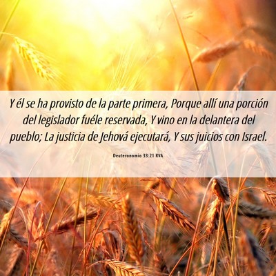 Picture 06 - Deuteronomio 33:21 RVA - Y él se ha provisto de la parte primera, Porque - Bible Verse Picture