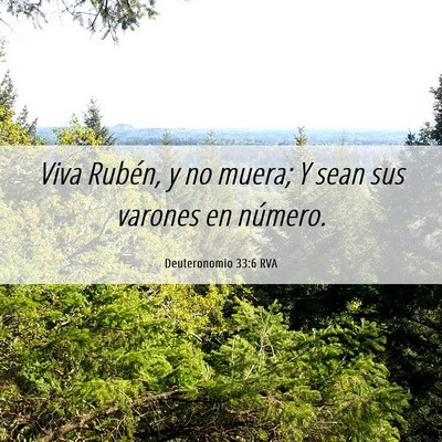 Picture 06 - Deuteronomio 33:6 RVA - Viva Rubén, y no muera; Y sean sus varones en - Bible Verse Picture