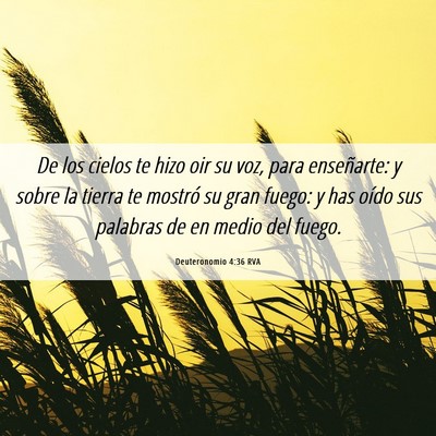 Picture 06 - Deuteronomio 4:36 RVA - De los cielos te hizo oir su voz, para - Bible Verse Picture