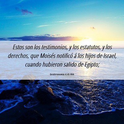 Picture 06 - Deuteronomio 4:45 RVA - Estos son los testimonios, y los estatutos, y los - Bible Verse Picture