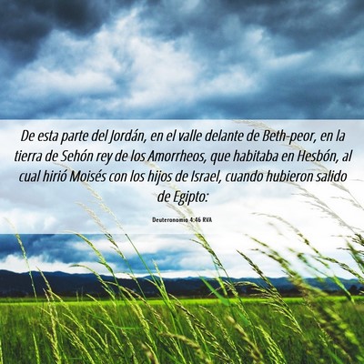 Picture 06 - Deuteronomio 4:46 RVA - De esta parte del Jordán, en el valle delante de - Bible Verse Picture