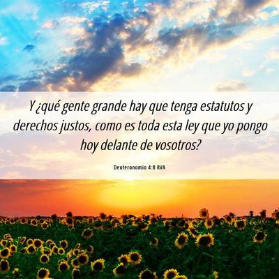 Picture 06 - Deuteronomio 4:8 RVA - Y ¿qué gente grande hay que tenga estatutos y - Bible Verse Picture