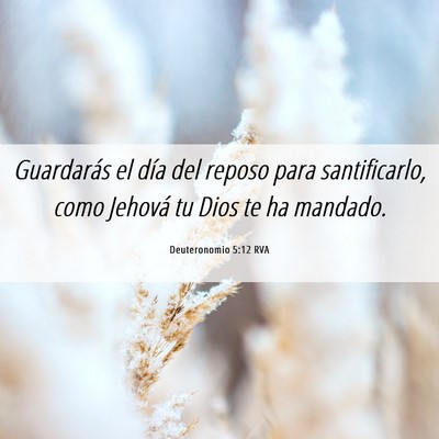 Picture 06 - Deuteronomio 5:12 RVA - Guardarás el día del reposo para santificarlo, - Bible Verse Picture