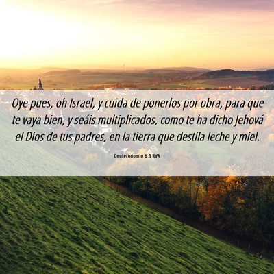 Picture 06 - Deuteronomio 6:3 RVA - Oye pues, oh Israel, y cuida de ponerlos por - Bible Verse Picture