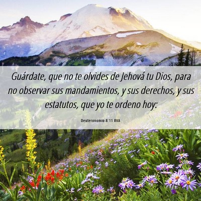 Picture 06 - Deuteronomio 8:11 RVA - Guárdate, que no te olvides de Jehová tu Dios, - Bible Verse Picture