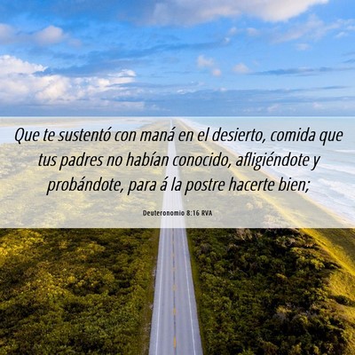 Picture 06 - Deuteronomio 8:16 RVA - Que te sustentó con maná en el desierto, comida - Bible Verse Picture