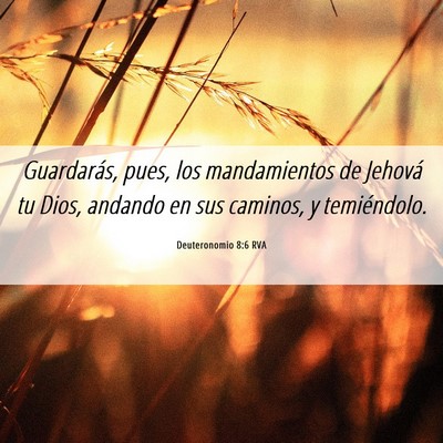 Picture 06 - Deuteronomio 8:6 RVA - Guardarás, pues, los mandamientos de Jehová tu - Bible Verse Picture