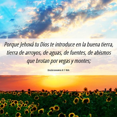 Picture 06 - Deuteronomio 8:7 RVA - Porque Jehová tu Dios te introduce en la buena - Bible Verse Picture