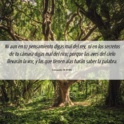 Picture 06 - Eclesiastés 10:20 RVA - Ni aun en tu pensamiento digas mal del rey, ni en - Bible Verse Picture