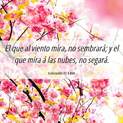 Picture 06 - Eclesiastés 11:4 RVA - El que al viento mira, no sembrará; y el que - Bible Verse Picture