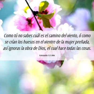 Picture 06 - Eclesiastés 11:5 RVA - Como tú no sabes cuál es el camino del viento, - Bible Verse Picture