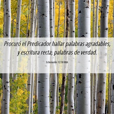 Picture 06 - Eclesiastés 12:10 RVA - Procuró el Predicador hallar palabras - Bible Verse Picture
