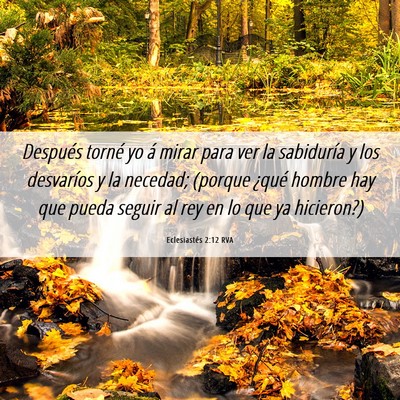 Picture 06 - Eclesiastés 2:12 RVA - Después torné yo á mirar para ver la - Bible Verse Picture