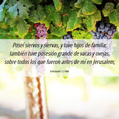 Picture 06 - Eclesiastés 2:7 RVA - Poseí siervos y siervas, y tuve hijos de - Bible Verse Picture