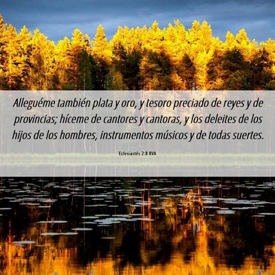 Picture 06 - Eclesiastés 2:8 RVA - Alleguéme también plata y oro, y tesoro - Bible Verse Picture