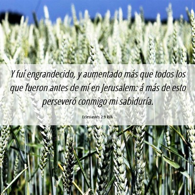 Picture 06 - Eclesiastés 2:9 RVA - Y fuí engrandecido, y aumentado más que todos - Bible Verse Picture