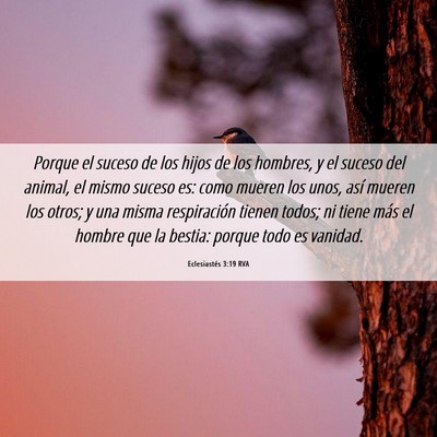 Picture 06 - Eclesiastés 3:19 RVA - Porque el suceso de los hijos de los hombres, y - Bible Verse Picture