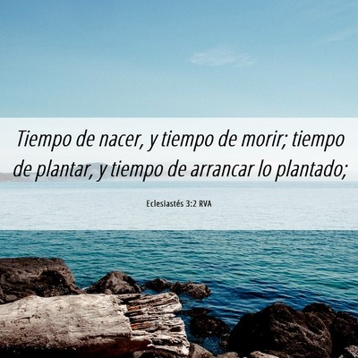 Picture 06 - Eclesiastés 3:2 RVA - Tiempo de nacer, y tiempo de morir; tiempo de - Bible Verse Picture