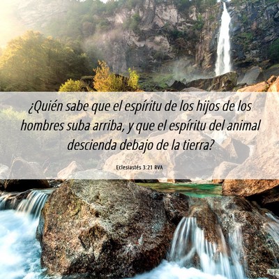 Picture 06 - Eclesiastés 3:21 RVA - ¿Quién sabe que el espíritu de los hijos de - Bible Verse Picture