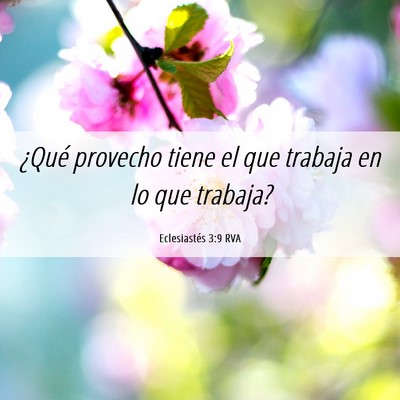 Picture 06 - Eclesiastés 3:9 RVA - ¿Qué provecho tiene el que trabaja en lo que - Bible Verse Picture