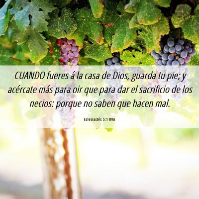 Picture 06 - Eclesiastés 5:1 RVA - CUANDO fueres á la casa de Dios, guarda tu pie; - Bible Verse Picture