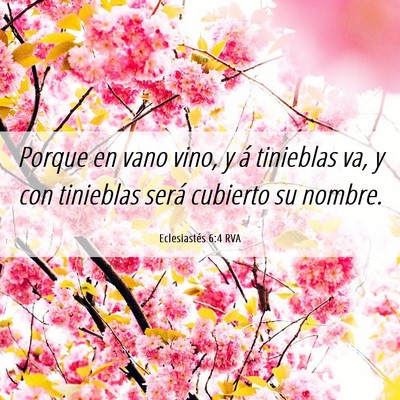Picture 06 - Eclesiastés 6:4 RVA - Porque en vano vino, y á tinieblas va, y con - Bible Verse Picture