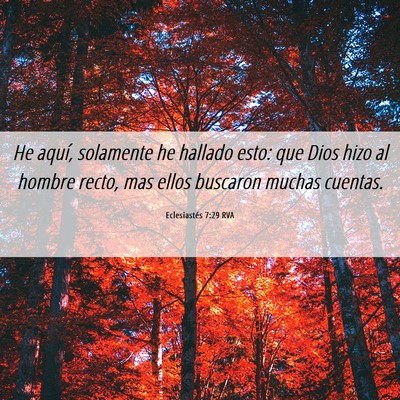 Picture 06 - Eclesiastés 7:29 RVA - He aquí, solamente he hallado esto: que Dios - Bible Verse Picture