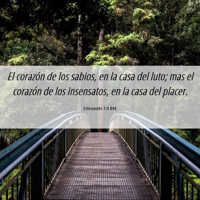 Picture 06 - Eclesiastés 7:4 RVA - El corazón de los sabios, en la casa del luto; - Bible Verse Picture