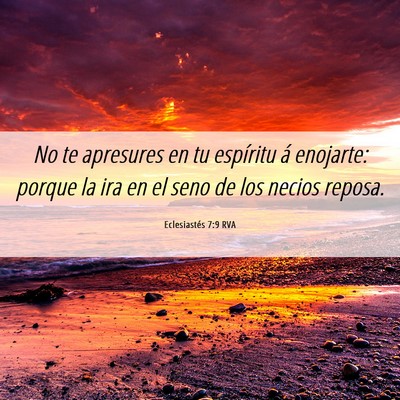 Picture 06 - Eclesiastés 7:9 RVA - No te apresures en tu espíritu á enojarte: - Bible Verse Picture