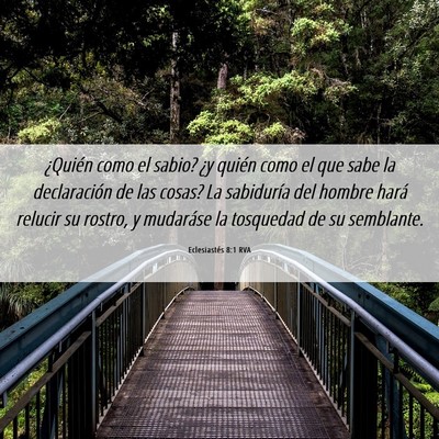 Picture 06 - Eclesiastés 8:1 RVA - ¿Quién como el sabio? ¿y quién como el que - Bible Verse Picture