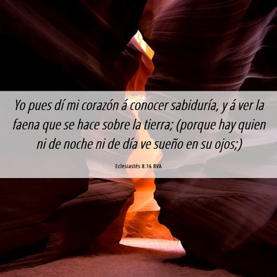 Picture 06 - Eclesiastés 8:16 RVA - Yo pues dí mi corazón á conocer sabiduría, y - Bible Verse Picture