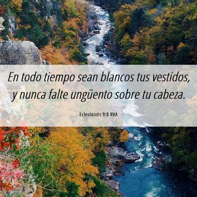 Picture 06 - Eclesiastés 9:8 RVA - En todo tiempo sean blancos tus vestidos, y nunca - Bible Verse Picture