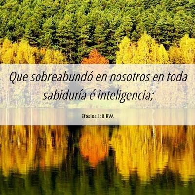 Picture 06 - Efesios 1:8 RVA - Que sobreabundó en nosotros en toda sabiduría - Bible Verse Picture