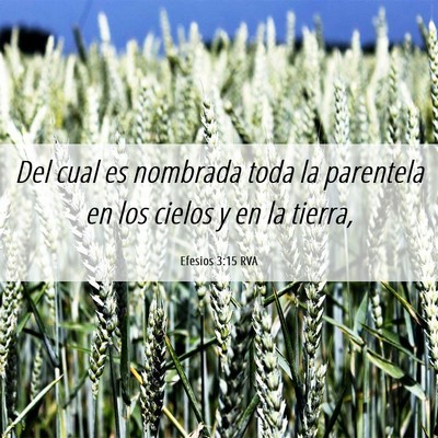 Picture 06 - Efesios 3:15 RVA - Del cual es nombrada toda la parentela en los - Bible Verse Picture