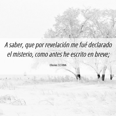 Picture 06 - Efesios 3:3 RVA - A saber, que por revelación me fué declarado el - Bible Verse Picture
