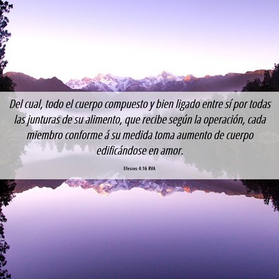 Picture 06 - Efesios 4:16 RVA - Del cual, todo el cuerpo compuesto y bien ligado - Bible Verse Picture