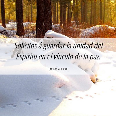 Picture 06 - Efesios 4:3 RVA - Solícitos á guardar la unidad del Espíritu en - Bible Verse Picture