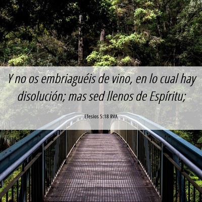 Picture 06 - Efesios 5:18 RVA - Y no os embriaguéis de vino, en lo cual hay - Bible Verse Picture