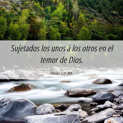 Picture 06 - Efesios 5:21 RVA - Sujetados los unos á los otros en el temor de - Bible Verse Picture