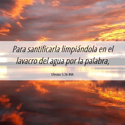Picture 06 - Efesios 5:26 RVA - Para santificarla limpiándola en el lavacro del - Bible Verse Picture