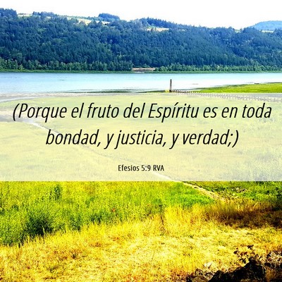 Picture 06 - Efesios 5:9 RVA - (Porque el fruto del Espíritu es en toda bondad, - Bible Verse Picture